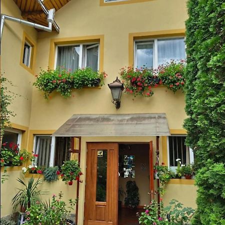 B&B Dumbrava グラ・フモアルルイ エクステリア 写真